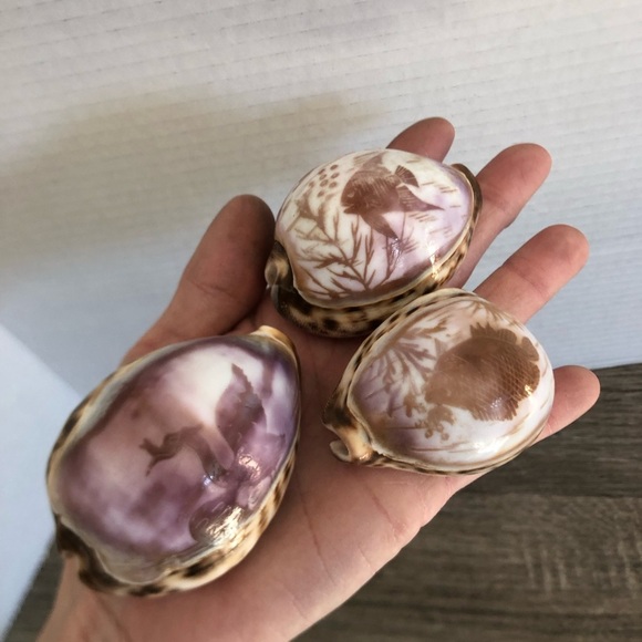 Vtg Hand Carved Cowrie Seashells with Intricate Designs - Picture 8 of 12